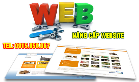 Thiết kế website tại TP Vinh Nghệ An
